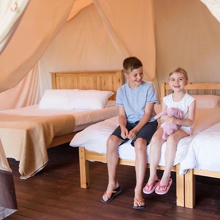 Trevella Holiday Park New Quay Kültér fotó