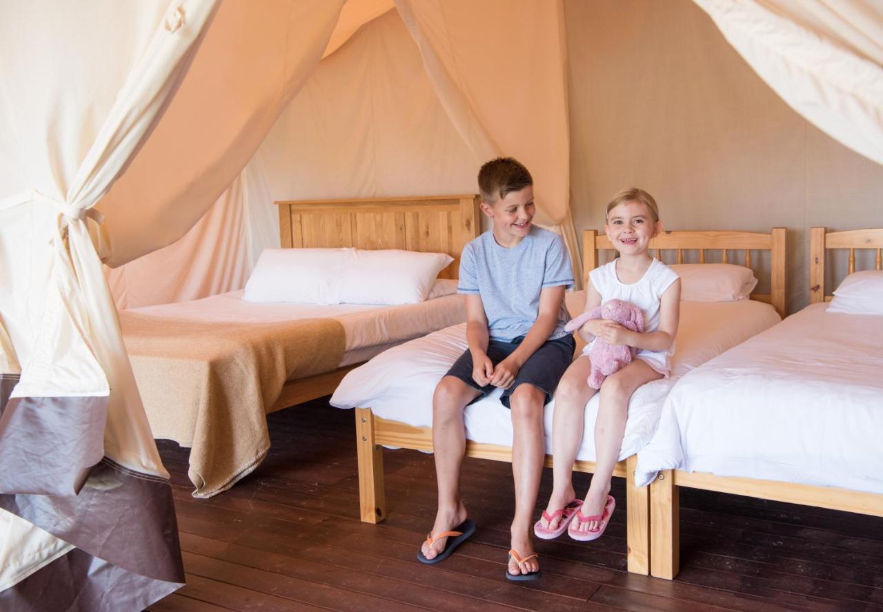 Trevella Holiday Park New Quay Kültér fotó